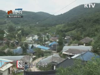 KTV 현장다큐 문화 행복시대 + (63회)