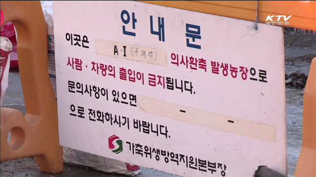 전북 김제서 구제역 발생…위기단계 '주의'