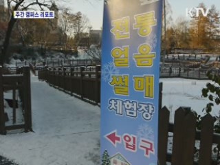 '추위야 가라' 얼음썰매 타기 인기 [캠퍼스 리포트]
