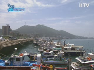 한국의 국립공원 - 해안선의 미학-태안해안국립공원