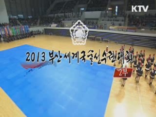 2013 부산세계국술선수권 대회 2부
