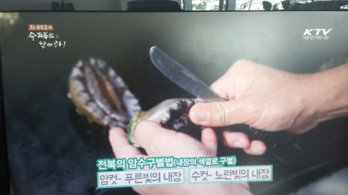 _KakaoTalk_20160715_143831539.jpg