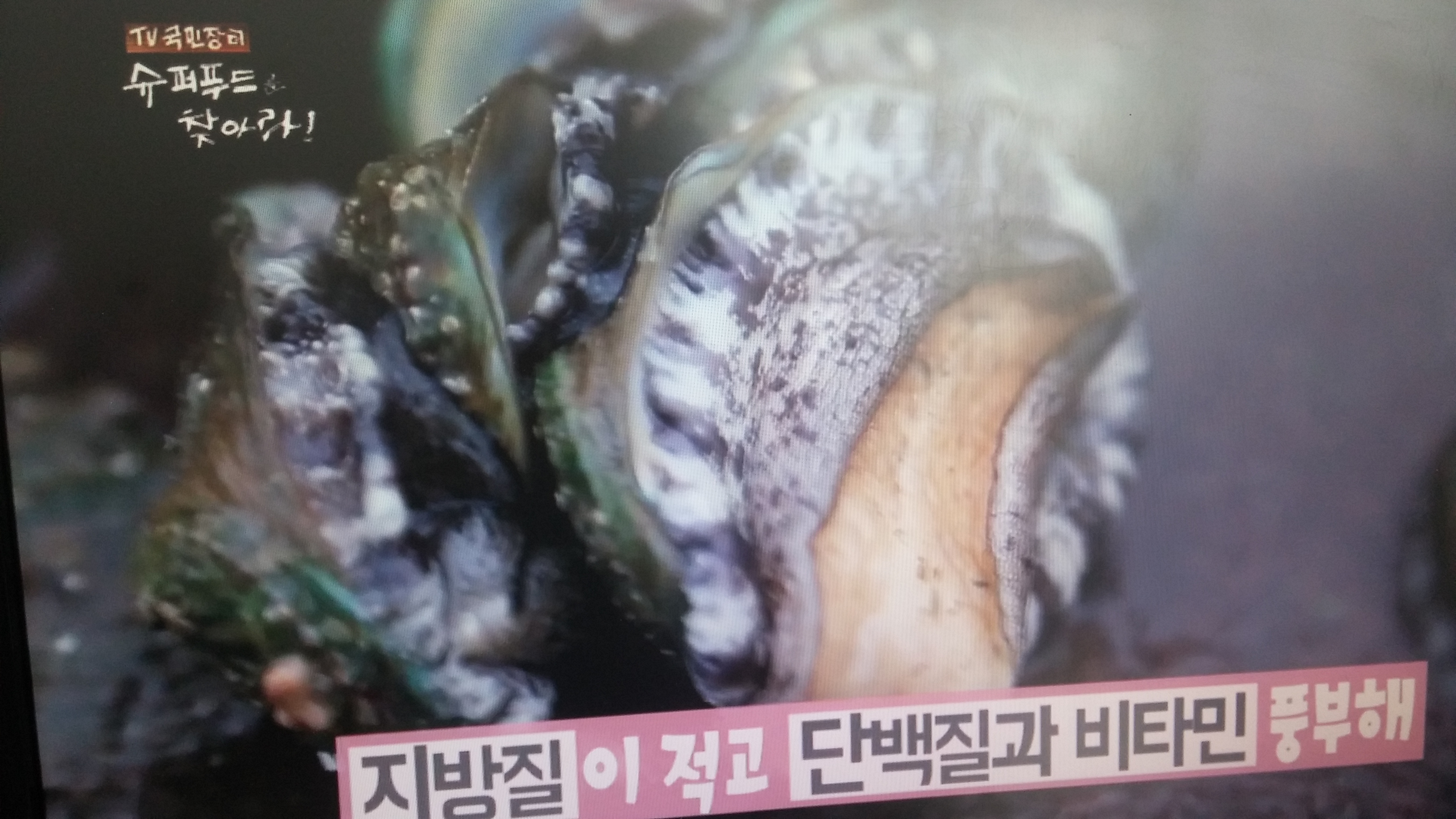 KakaoTalk_20160715_140814935.jpg