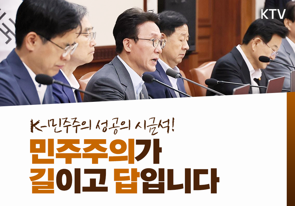 국무총리 주재 국무회의, 민주주의가 길이고 답입니다