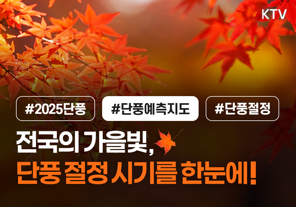 전국의 가을빛, 단풍 절정 시기를 한눈에!