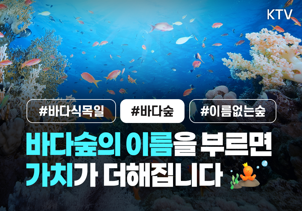 바다숲, 이름을 더하다