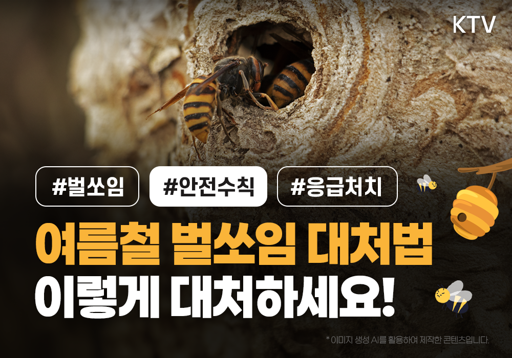 여름철 벌쏘임 대처법 이렇게 대처하세요!