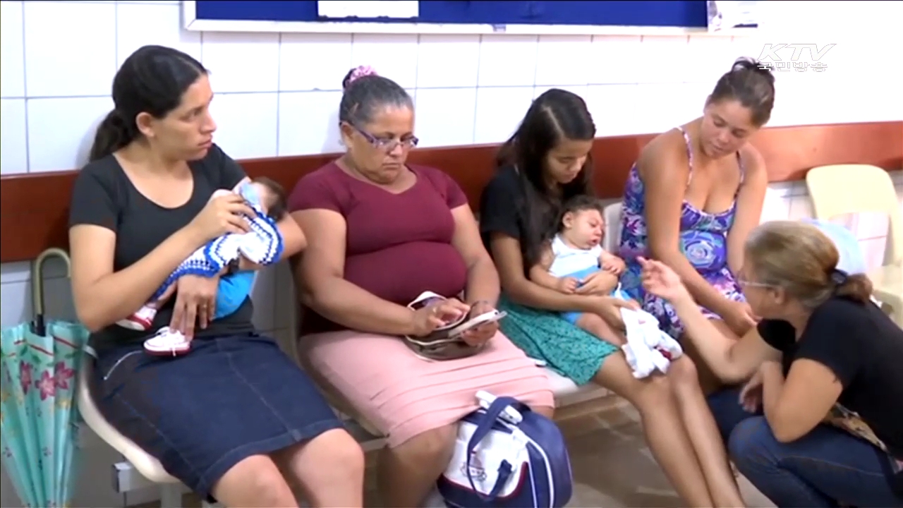 지카 바이러스 확산…관광객·선수단 예방 강화