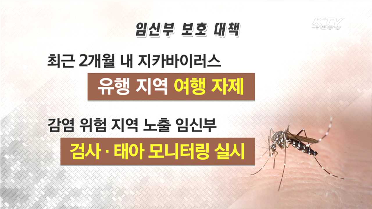 지카바이러스 '관심단계' 유지…"방역조치 강화"
