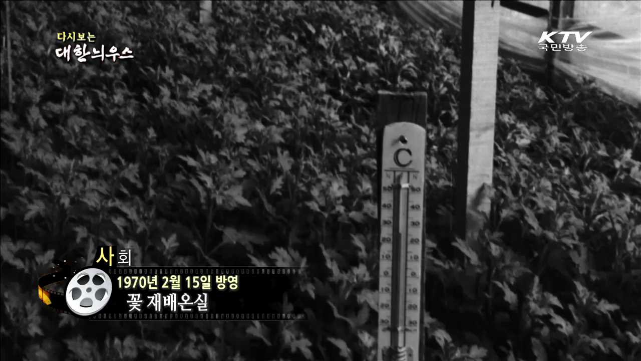 다시보는 대한늬우스 (70.02.15) 이미지