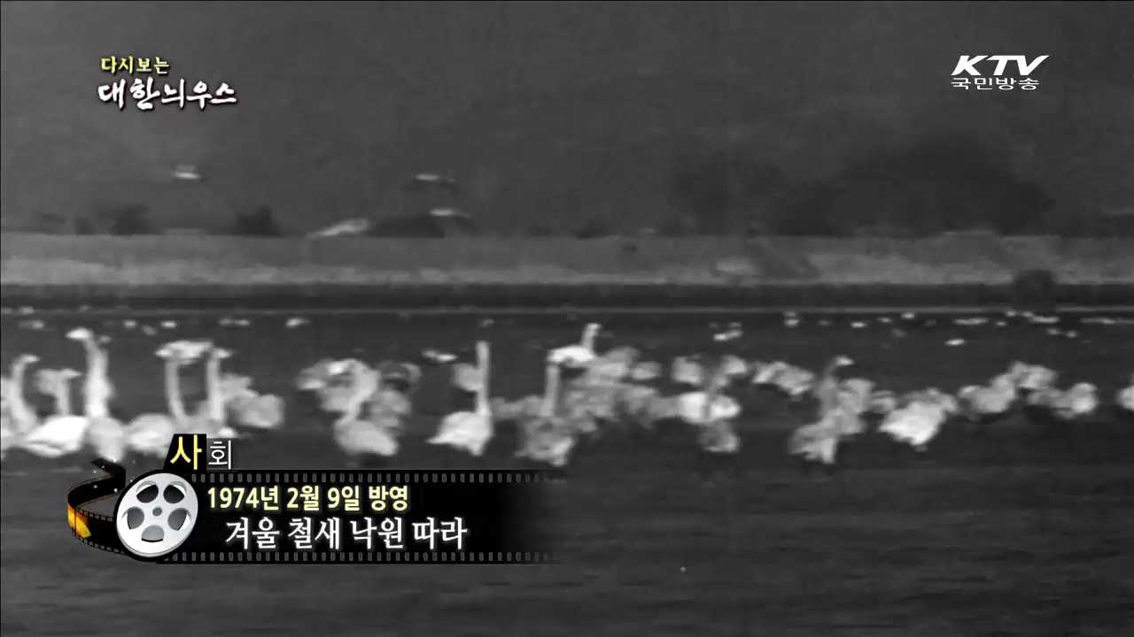 다시보는 대한늬우스 (74.02.09) 이미지