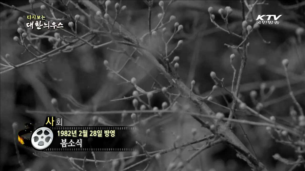 다시보는 대한늬우스 (82.02.28) 이미지