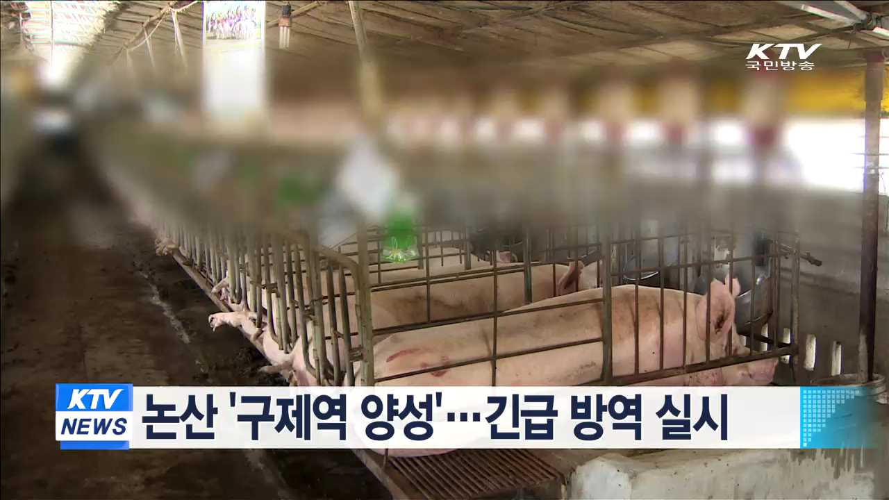 논산 '구제역 양성'…긴급방역 실시