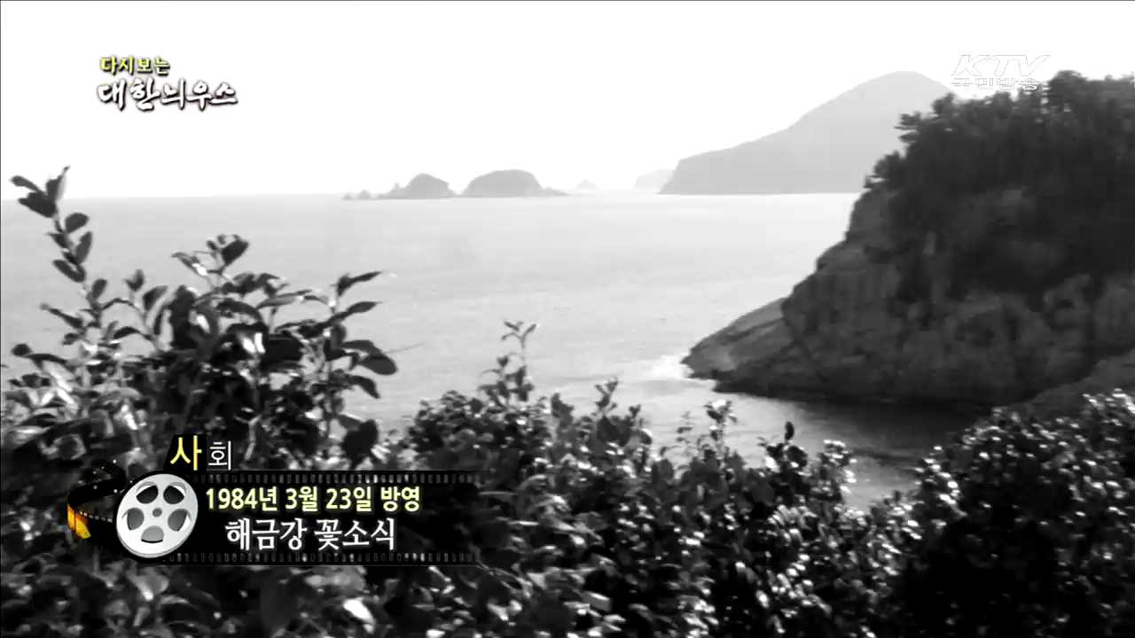 다시보는 대한늬우스 (84.03.23) 이미지