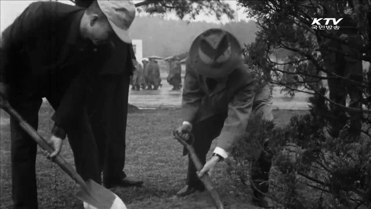 '우리 강산 푸르게'…대한뉴스로 본 식목일