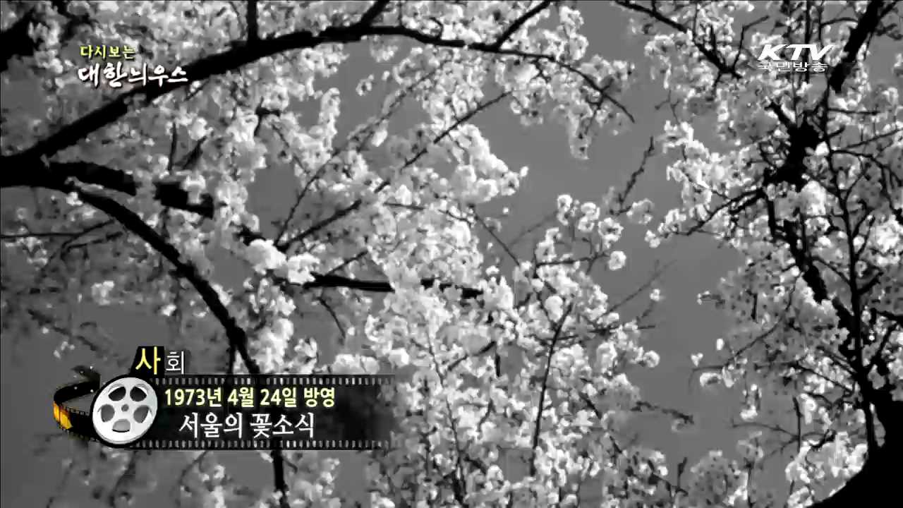 다시보는 대한늬우스 (73.04.24) 이미지