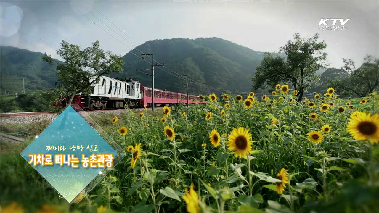 야무진 청년들의 의기투합! '청년협동조합'