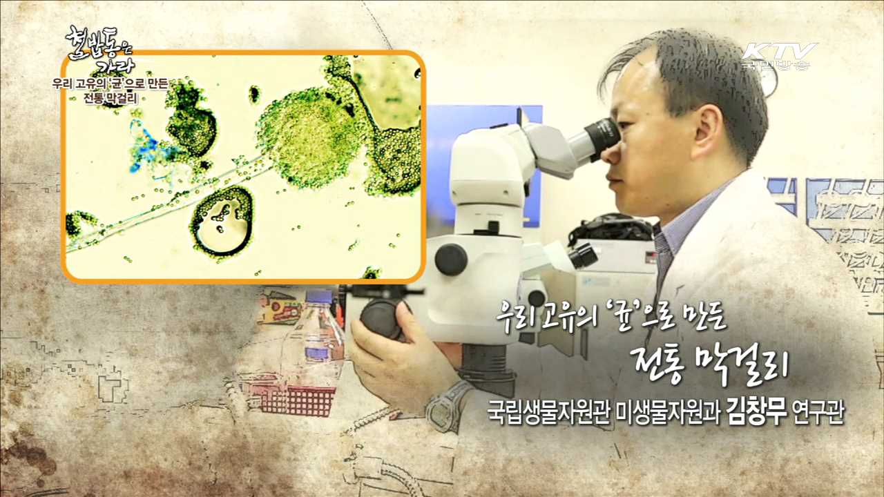 우리 고유의 '균'으로 만든 전통 막걸리 - 김창무 (환경부 국립생물자원관 미생물자원과 연구관)
