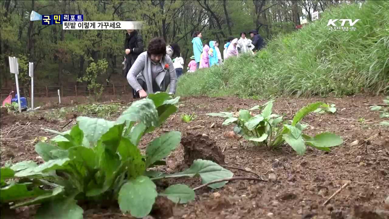 기능성 도시 텃밭  "이렇게 가꾸세요“