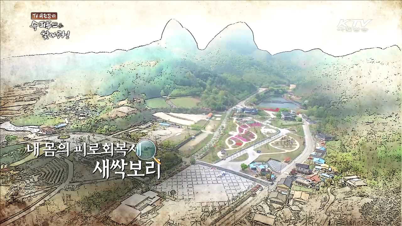 내 몸의 피로회복제 새싹보리