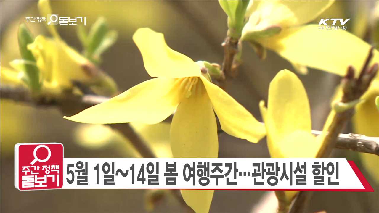 주간 정책 돋보기 (4회)