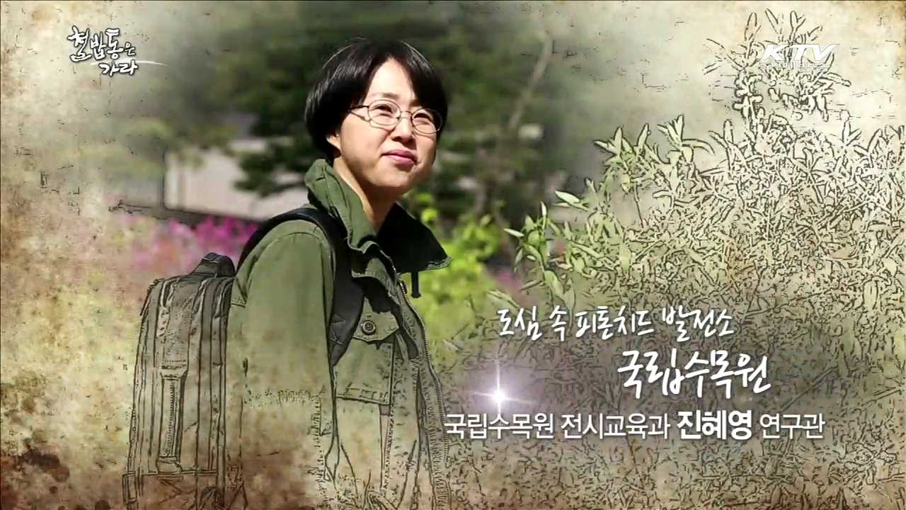 도심 속 피톤치드 발전소 국립수목원 - 진혜영 (여, 40 국립수목원 전시교육과 연구관)