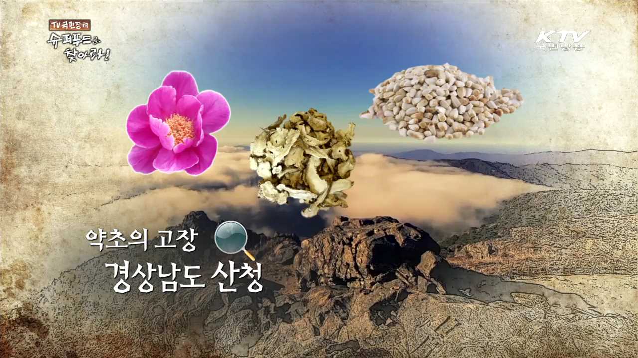 약초의 고장 경상남도 산청