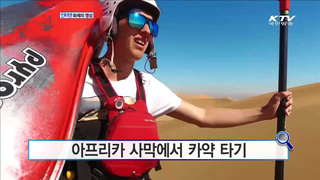 1,260만 원에 팔린 포도 한송이 [화제의 영상]