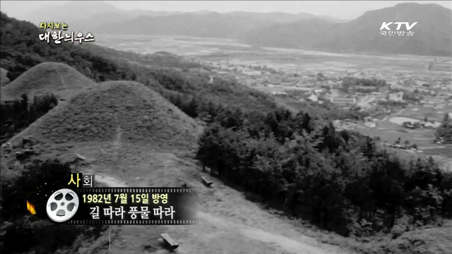 다시보는 대한늬우스 (82.07.15) 이미지