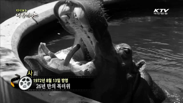다시보는 대한늬우스 (72.08.13) 이미지