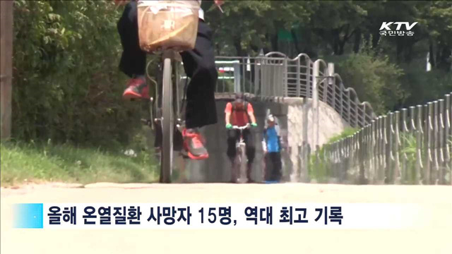 올해 온열질환 사망자 15명…4년 만에 최다