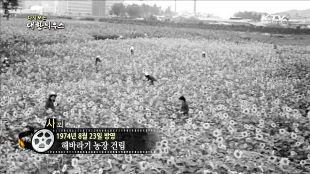다시보는 대한늬우스 (74.08.23) 이미지