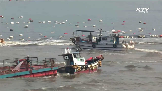 적조 피해 증가…정부 지원 대책 마련
