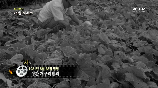 다시보는 대한늬우스 (81.08.28) 이미지