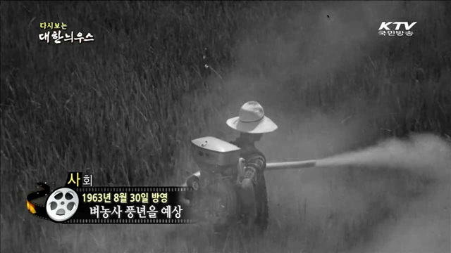 다시보는 대한늬우스 (63.08.30) 이미지