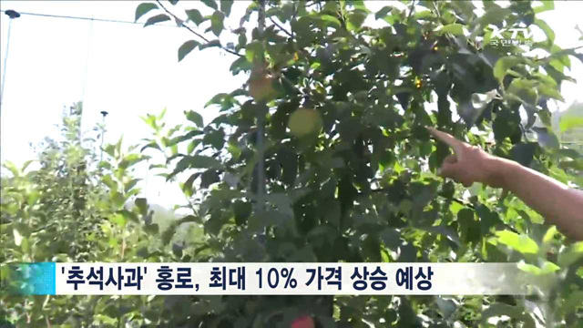 추석 성수품 공급 늘리고 직거래 장터 운영한다