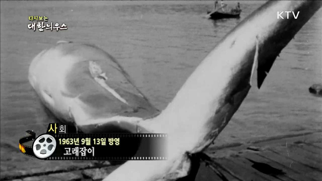 다시보는 대한늬우스(63.09.13) 이미지