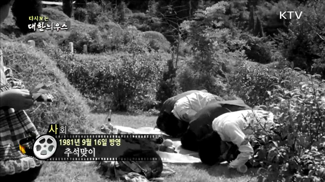 다시보는 대한늬우스(81.09.16) 이미지