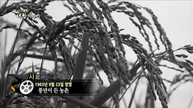 다시보는 대한늬우스 (63.09.23) 이미지
