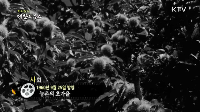 다시보는 대한늬우스 (60.09.25) 이미지