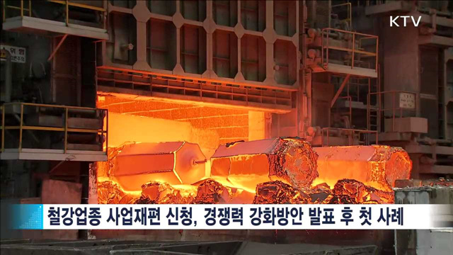 속도내는 '기활법'…철강업종 사업재편 첫 신청