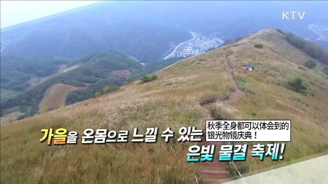 가을 정취가 물씬~ 민둥산 억새 축제를 찾아서!