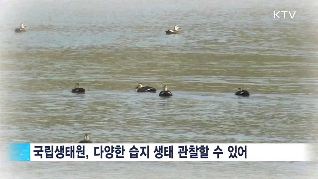 가을여행주간 이번주까지…가을 내음 가득한 생태원