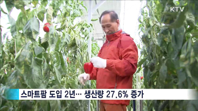 스마트팜 도입 2년…1인당 생산량 40%·수입 16% 증가