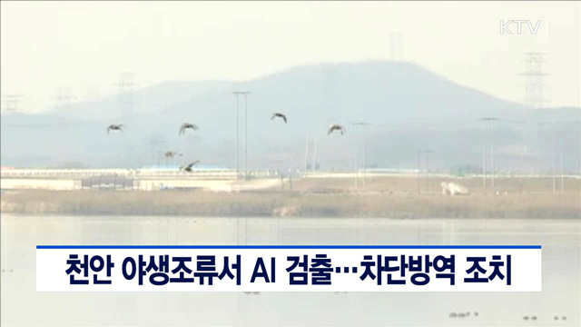 천안 야생조류서 AI 검출…차단방역 조치