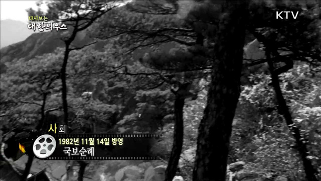 다시보는 대한늬우스 (82.11.14) 이미지