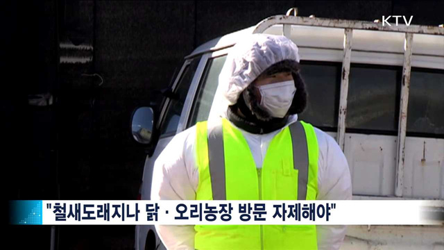 "닭·오리고기 문제없어…철새도래지 방문 자제"