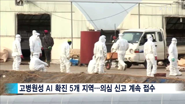 AI '경계' 단계…모든 시도에 방역대책본부 설치