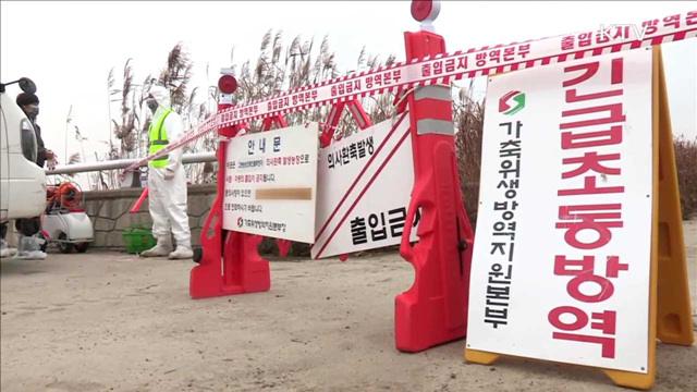 계란운반차량 '일제단속'…경계단계 격상 검토