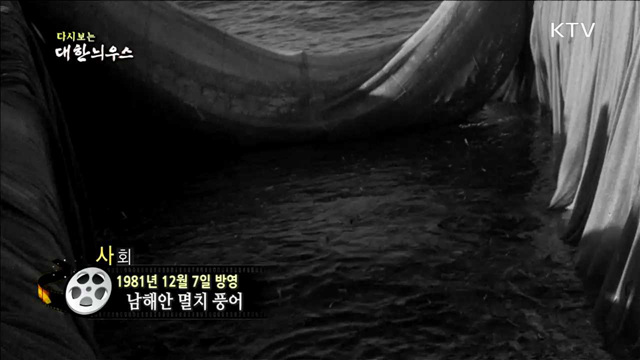 다시보는 대한늬우스 (81.12.07) 이미지